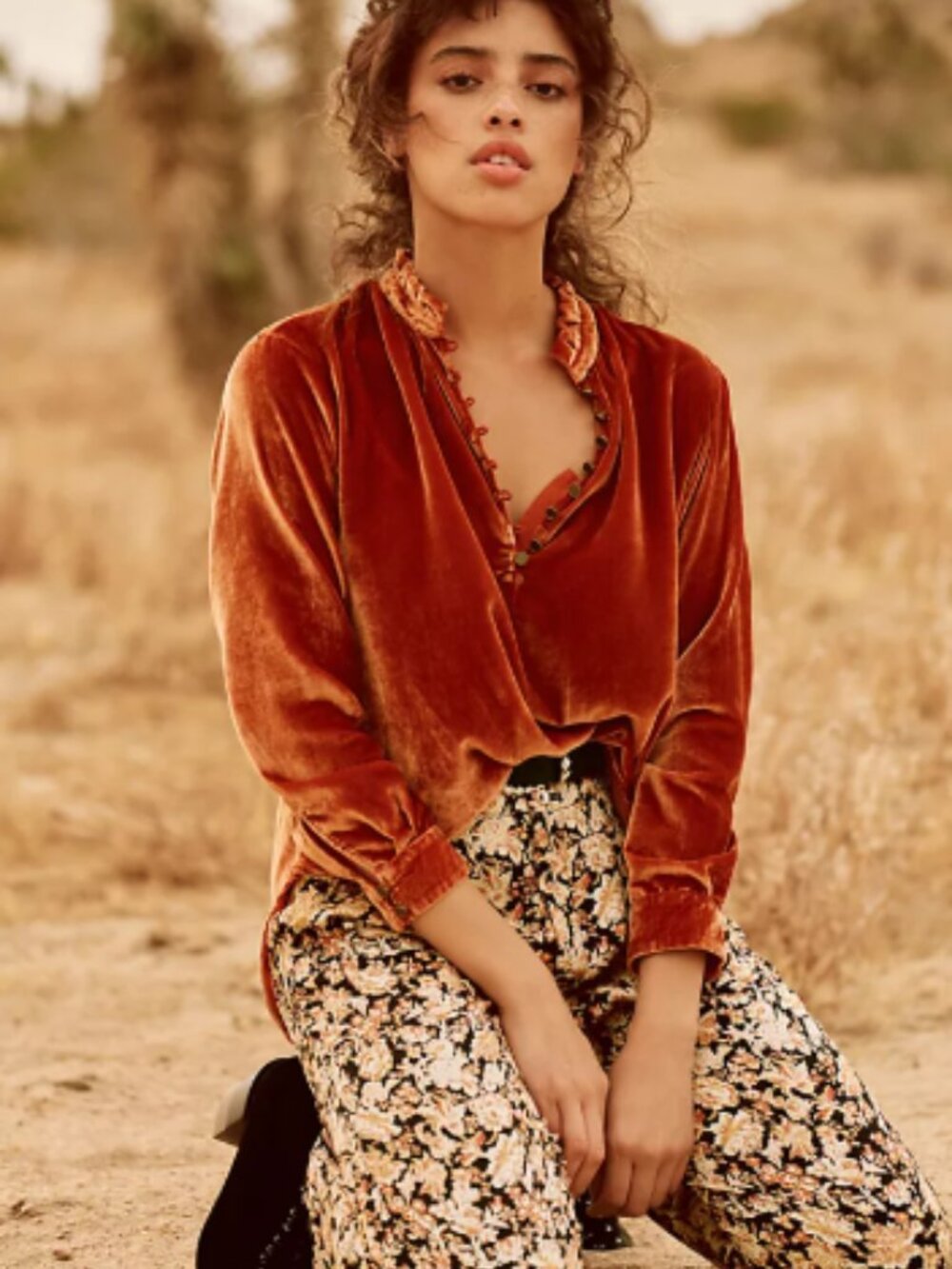 Anthropologie Kristianne velvet shirt - XL